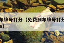 免费测车牌号打分（免费测车牌号打分测试晋D560G8）