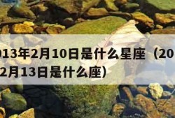 2013年2月10日是什么星座（2013年2月13日是什么座）